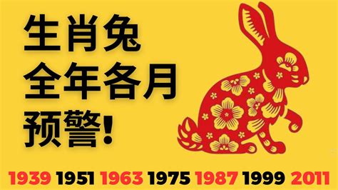 1963屬兔2023運勢|1963年属兔人2023年全年运势详解 60岁生肖兔2023年。